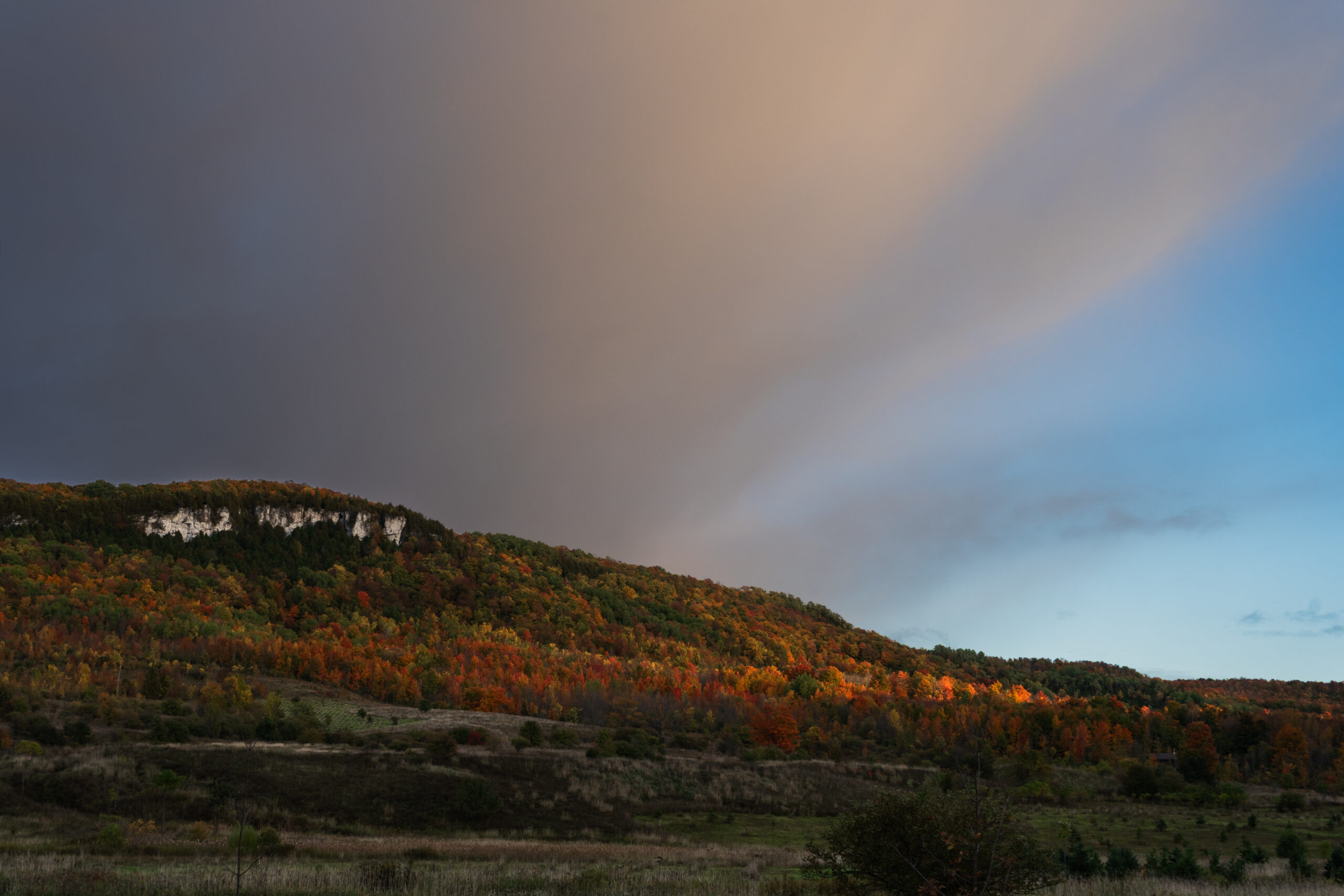 Old Baldy from Grey 13 courtesy of Jade Michael Ryan