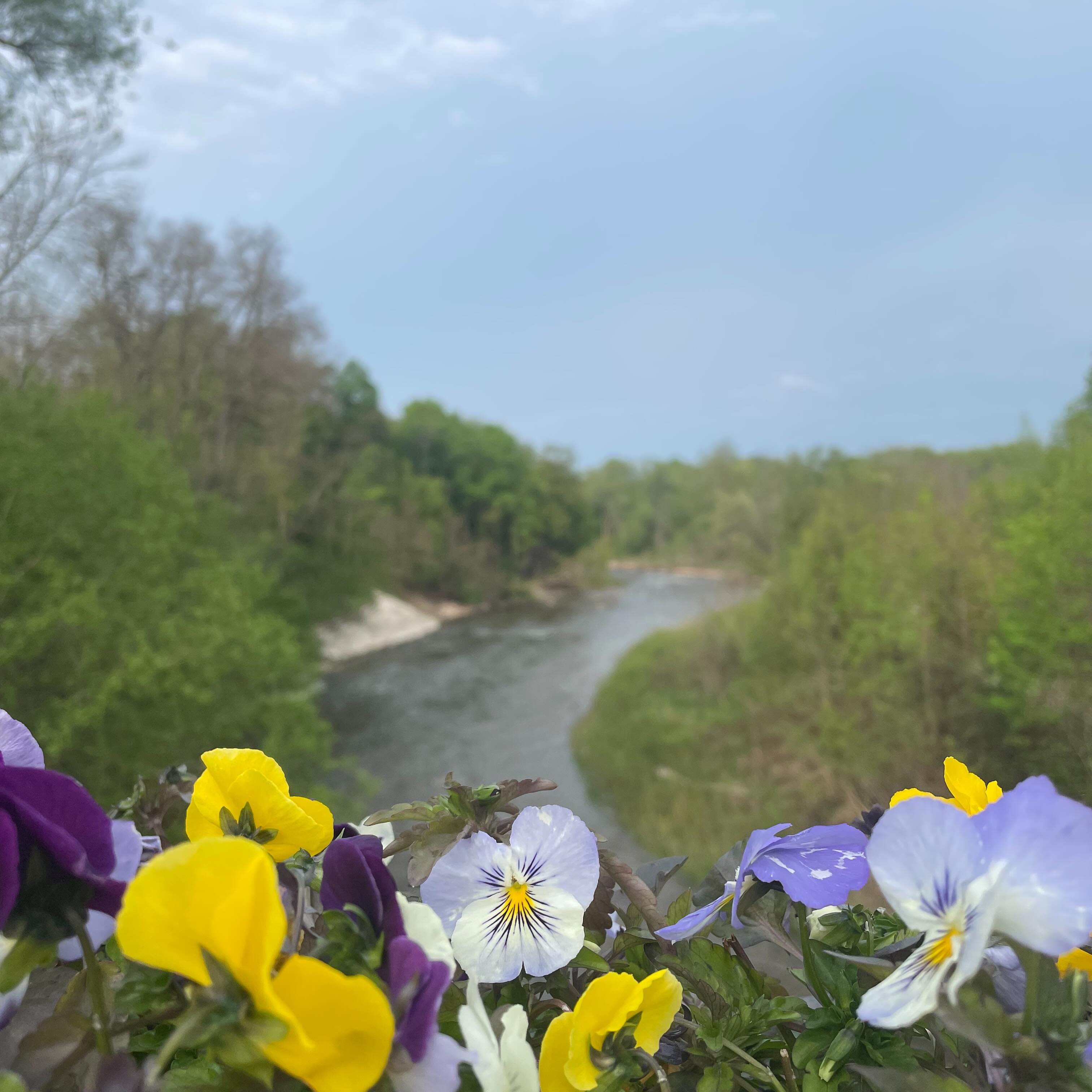 Evening strolls… wearing just a t-shirt. Us Canadians wait a long time for nights like these. Enjoy. #Clarksburg #BeaverValley #BeaverRiver #May #Ontario