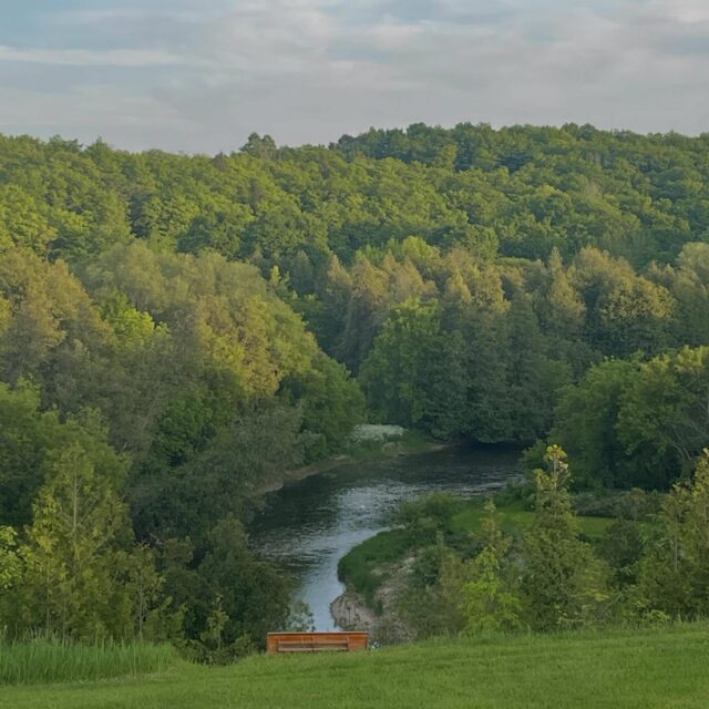 The verdant green this time of year makes everything feel like Hobbit land. Truly, we live in fairytale land.