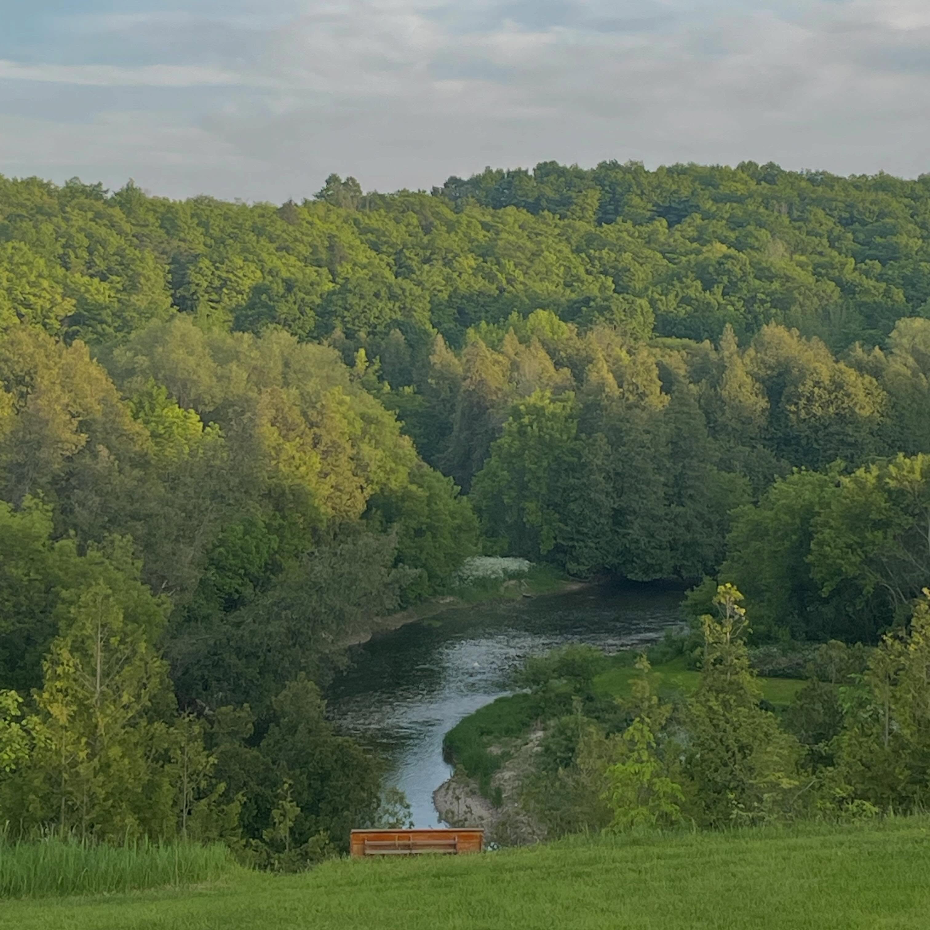 The verdant green this time of year makes everything feel like Hobbit land. Truly, we live in fairytale land.