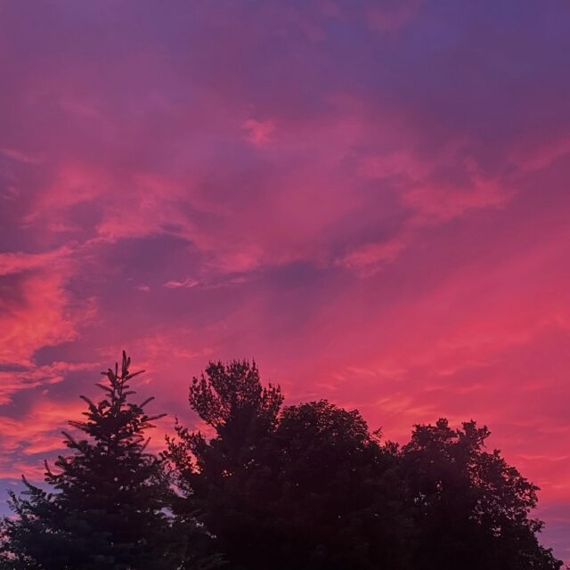 Who caught the light show last night? Stunning. Happy Summer Solstice to YOU. ❤️🩷❤️🌲