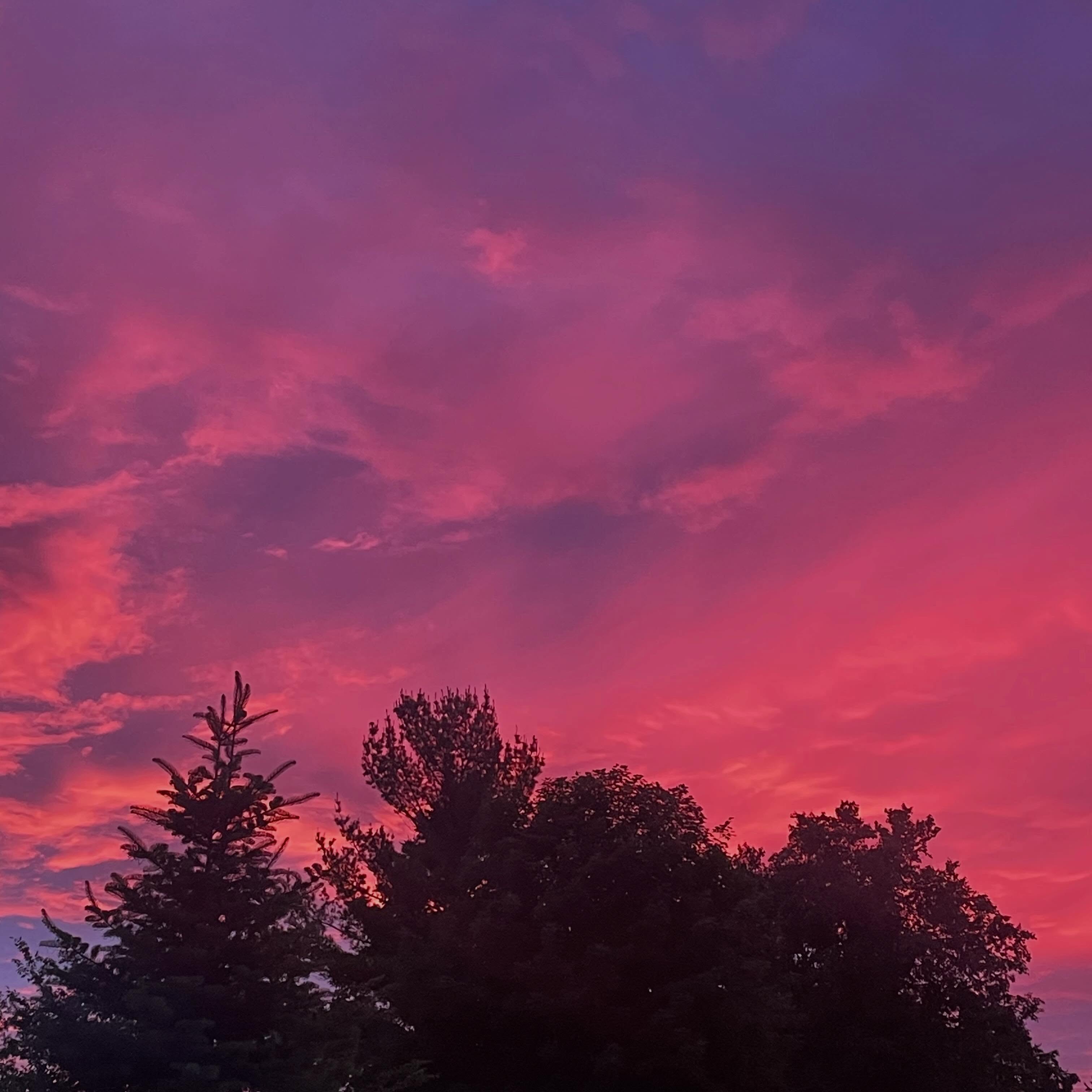 Who caught the light show last night? Stunning. Happy Summer Solstice to YOU. ❤️🩷❤️🌲