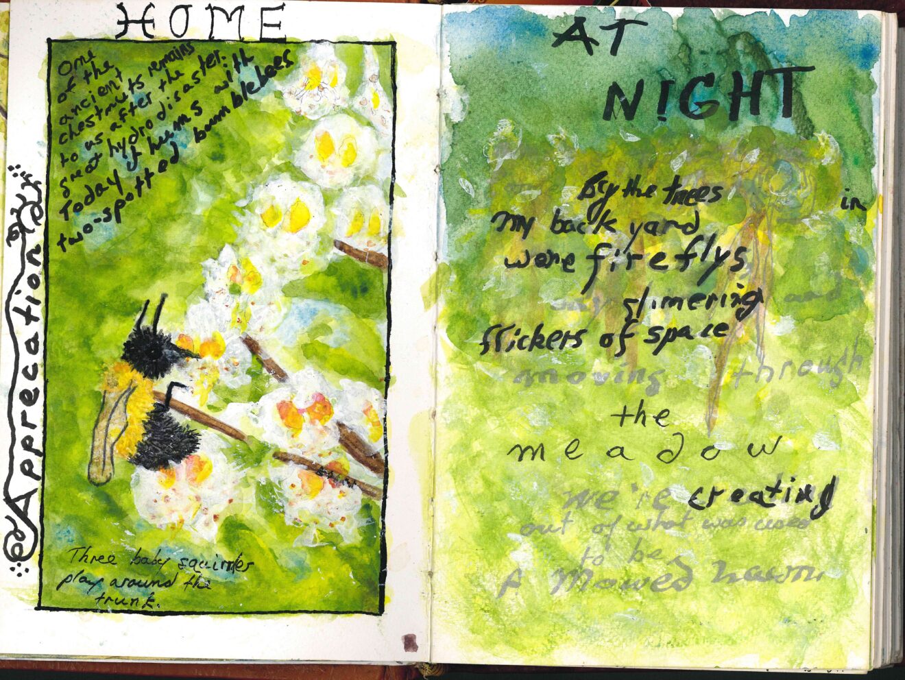 International Nature Journaling Week