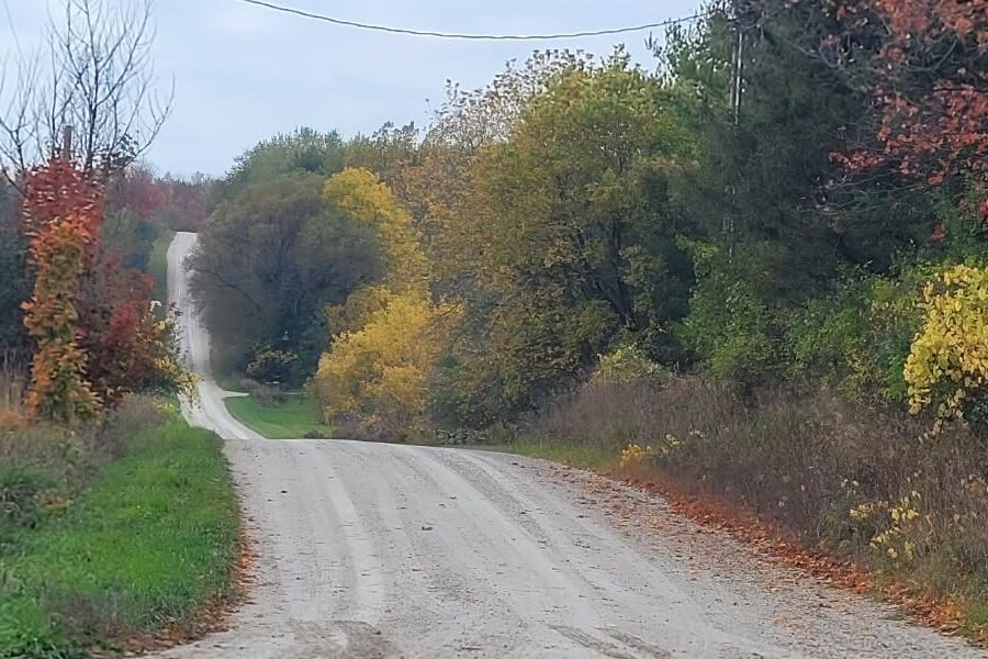 Wondering what’s with the fall colour this year?
